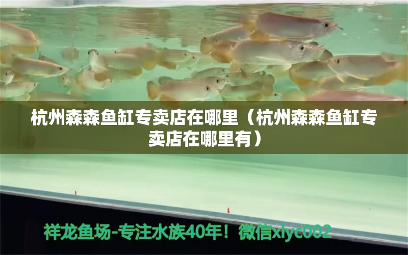 杭州森森鱼缸专卖店在哪里（杭州森森鱼缸专卖店在哪里有） 三色锦鲤鱼
