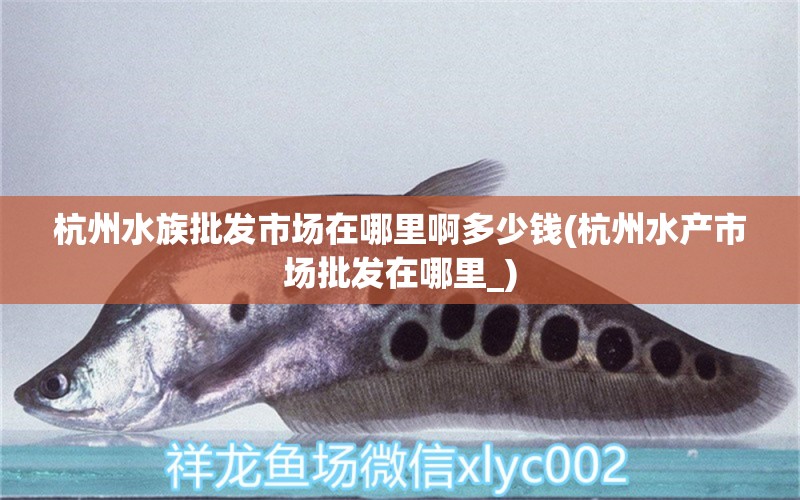 杭州水族批发市场在哪里啊多少钱(杭州水产市场批发在哪里_) 观赏鱼水族批发市场