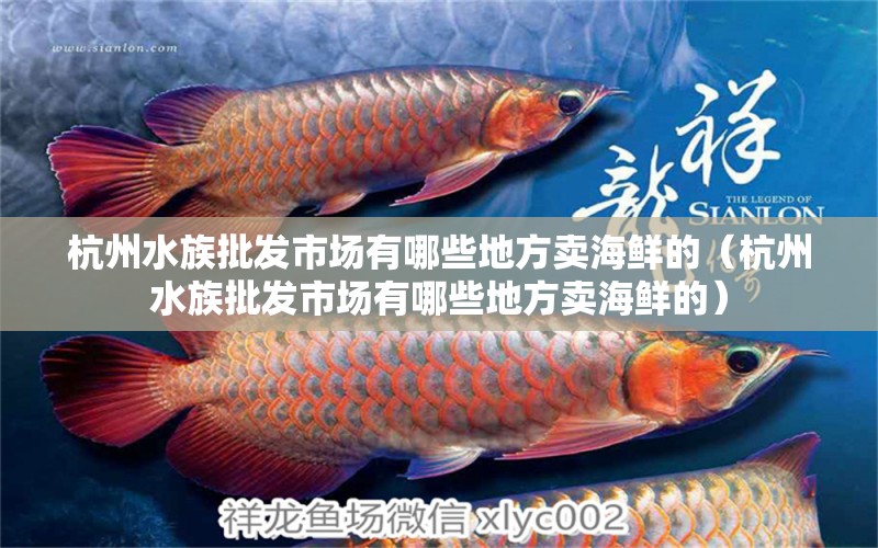 杭州水族批发市场有哪些地方卖海鲜的（杭州水族批发市场有哪些地方卖海鲜的）