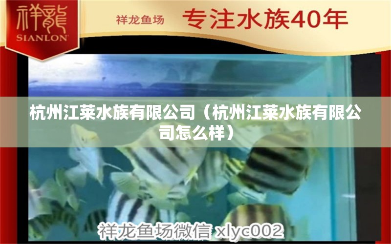 杭州江莱水族有限公司（杭州江莱水族有限公司怎么样）