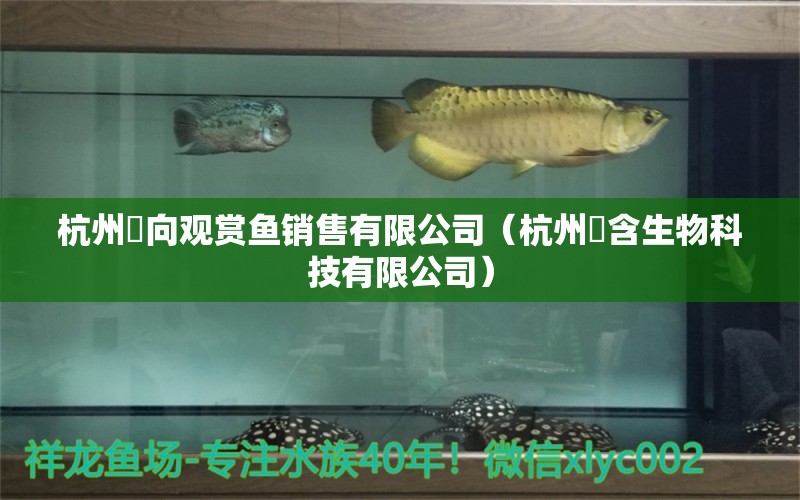 杭州玥向观赏鱼销售有限公司（杭州玥含生物科技有限公司） 全国水族馆企业名录