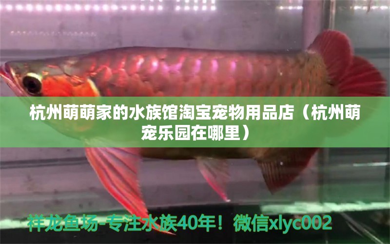 杭州萌萌家的水族馆淘宝宠物用品店（杭州萌宠乐园在哪里）