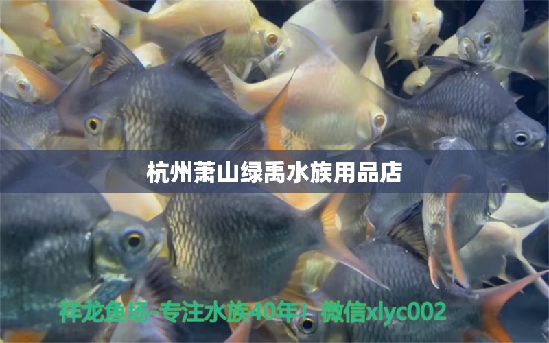 杭州萧山绿禹水族用品店 水族用品