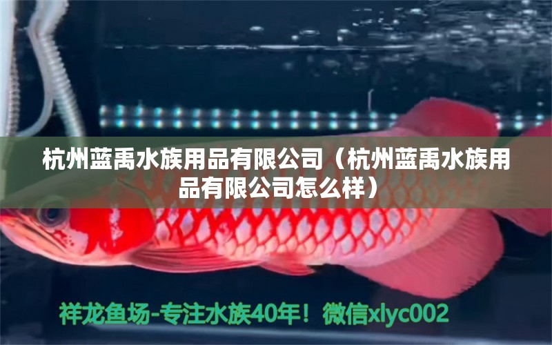 杭州蓝禹水族用品有限公司（杭州蓝禹水族用品有限公司怎么样）