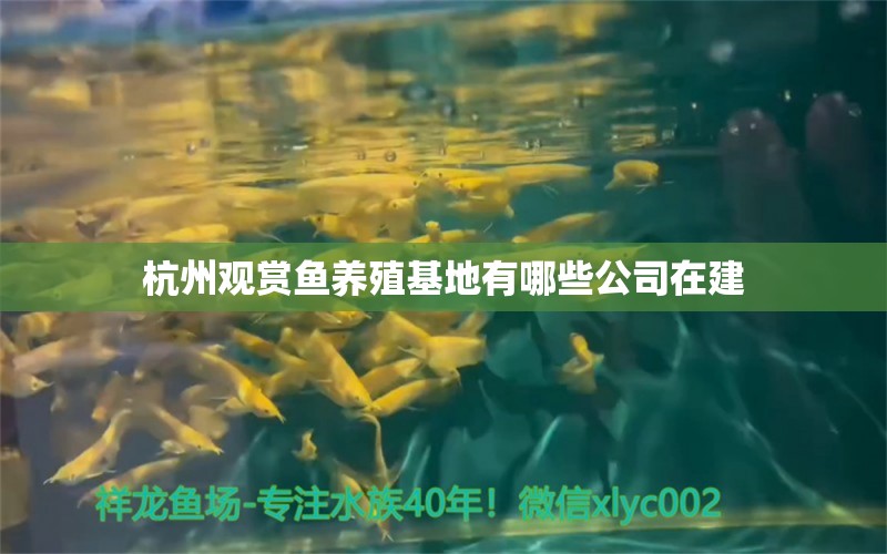 杭州观赏鱼养殖基地有哪些公司在建