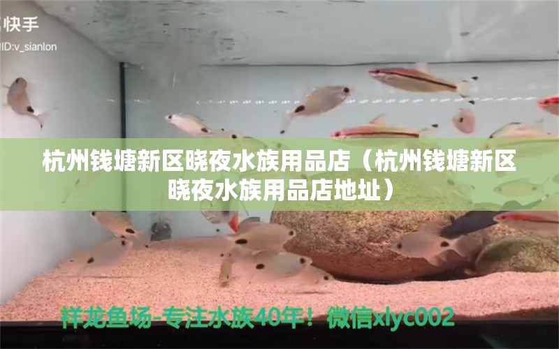 杭州钱塘新区晓夜水族用品店（杭州钱塘新区晓夜水族用品店地址）