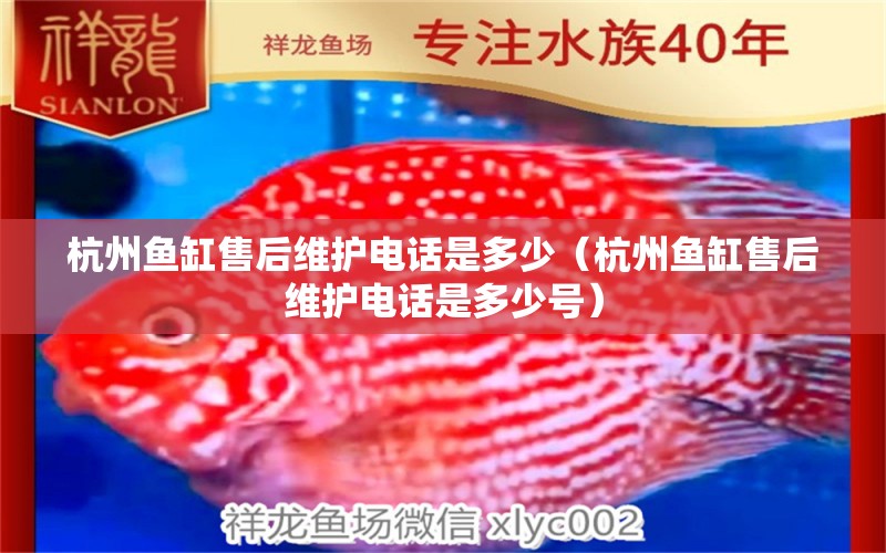 杭州鱼缸售后维护电话是多少（杭州鱼缸售后维护电话是多少号） 其他品牌鱼缸