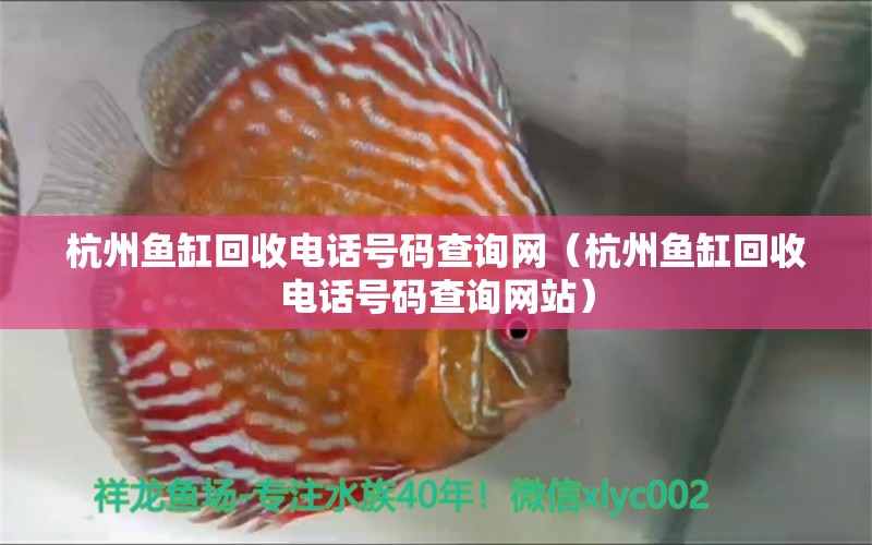 杭州鱼缸回收电话号码查询网（杭州鱼缸回收电话号码查询网站）