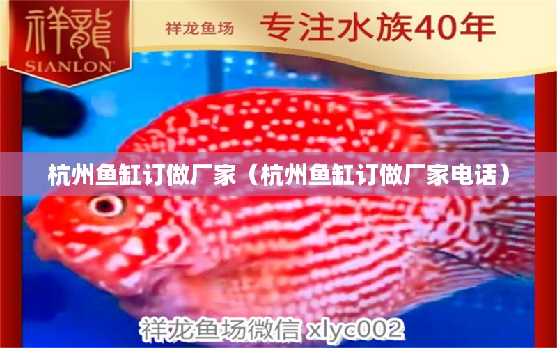 杭州鱼缸订做厂家（杭州鱼缸订做厂家电话） 其他品牌鱼缸