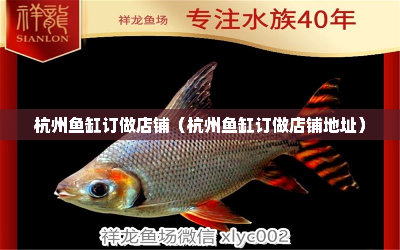 杭州鱼缸订做店铺（杭州鱼缸订做店铺地址） 其他品牌鱼缸