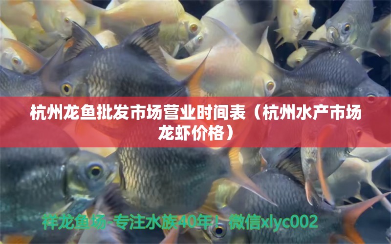 杭州龙鱼批发市场营业时间表（杭州水产市场龙虾价格） 龙鱼批发