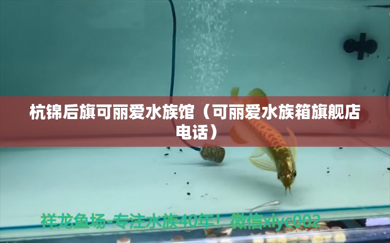 杭锦后旗可丽爱水族馆（可丽爱水族箱旗舰店电话）