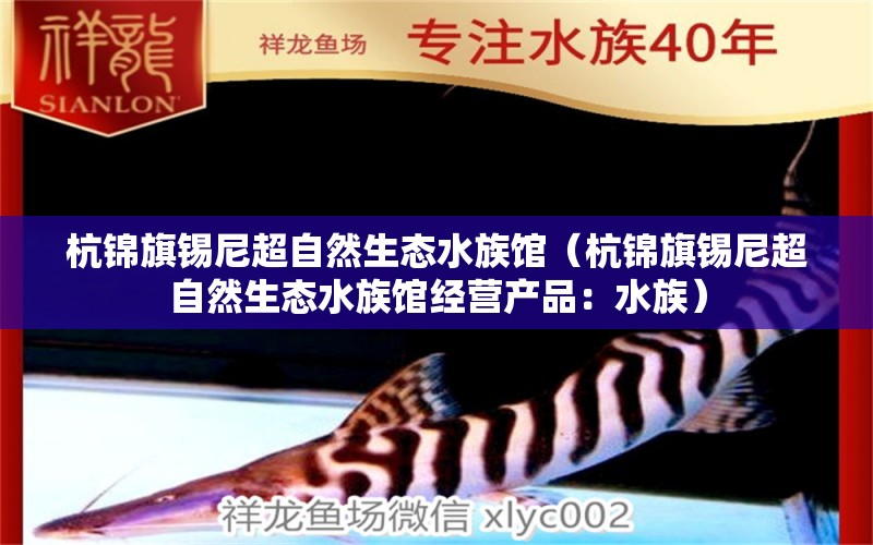 杭锦旗锡尼超自然生态水族馆（杭锦旗锡尼超自然生态水族馆经营产品：水族） 全国观赏鱼市场 第1张