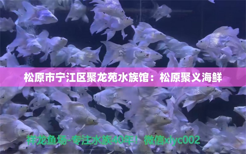 松原市宁江区聚龙苑水族馆：松原聚义海鲜 全国水族馆企业名录