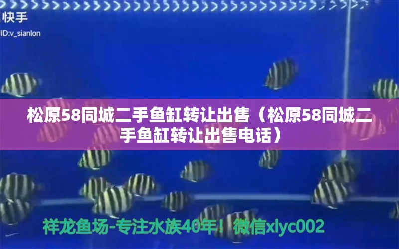 松原58同城二手鱼缸转让出售（松原58同城二手鱼缸转让出售电话）