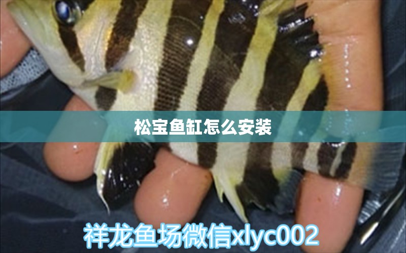 松宝鱼缸怎么安装 水族问答 第2张