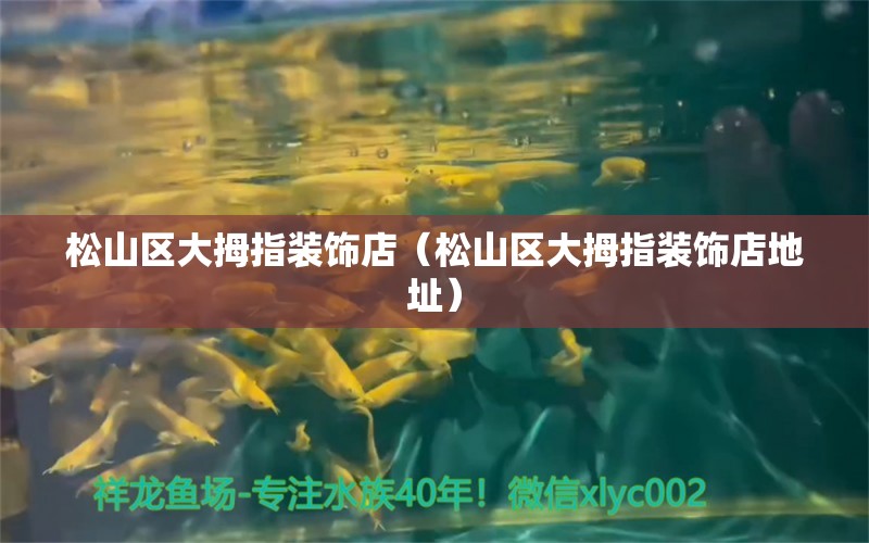 松山区大拇指装饰店（松山区大拇指装饰店地址） 全国水族馆企业名录