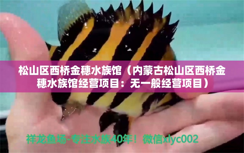 松山区西桥金穗水族馆（内蒙古松山区西桥金穗水族馆经营项目：无一般经营项目） 全国观赏鱼市场 第1张