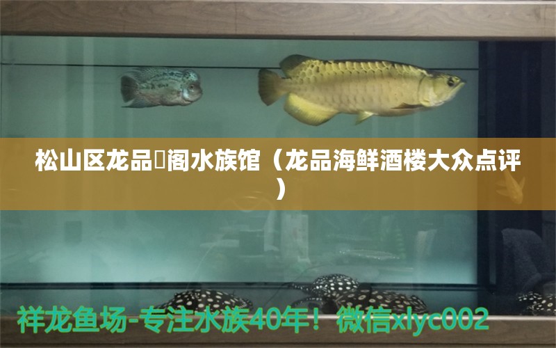 松山区龙品魟阁水族馆（龙品海鲜酒楼大众点评）