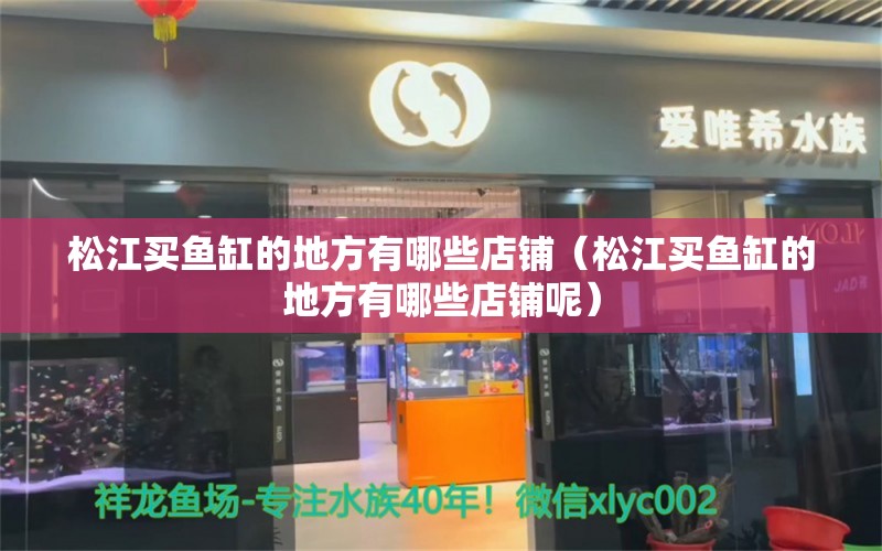 松江买鱼缸的地方有哪些店铺（松江买鱼缸的地方有哪些店铺呢） 观赏鱼市场（混养鱼）