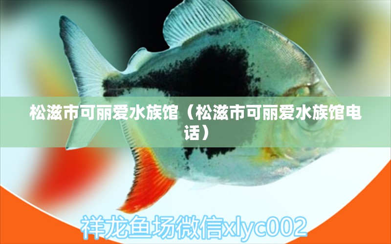 松滋市可丽爱水族馆（松滋市可丽爱水族馆电话）