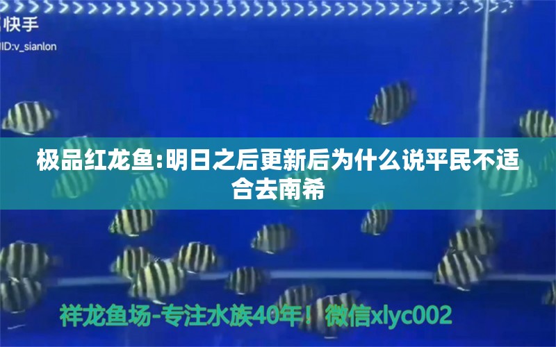 极品红龙鱼:明日之后更新后为什么说平民不适合去南希 龙鱼批发