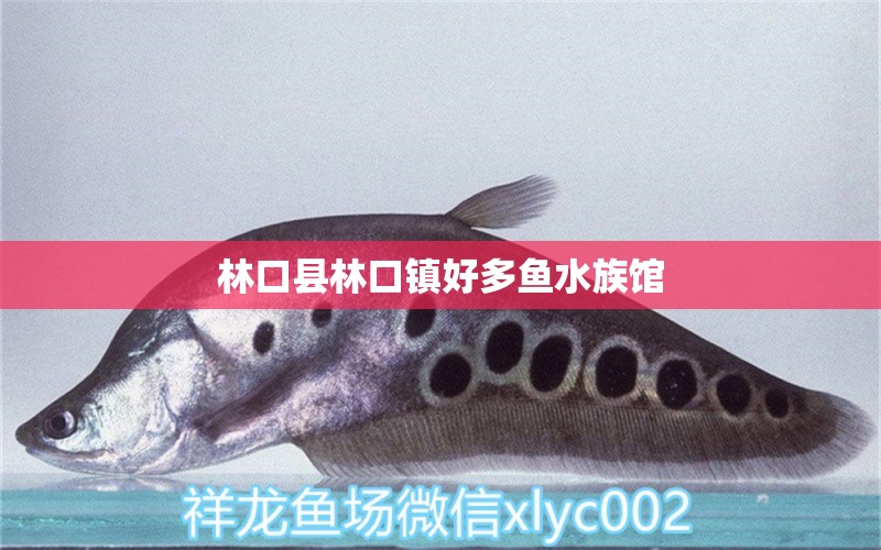 林口县林口镇好多鱼水族馆 全国水族馆企业名录