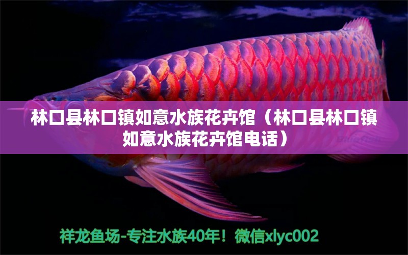 林口县林口镇如意水族花卉馆（林口县林口镇如意水族花卉馆电话）