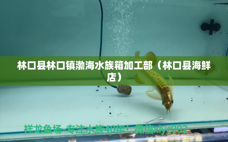 林口县林口镇渤海水族箱加工部（林口县海鲜店）