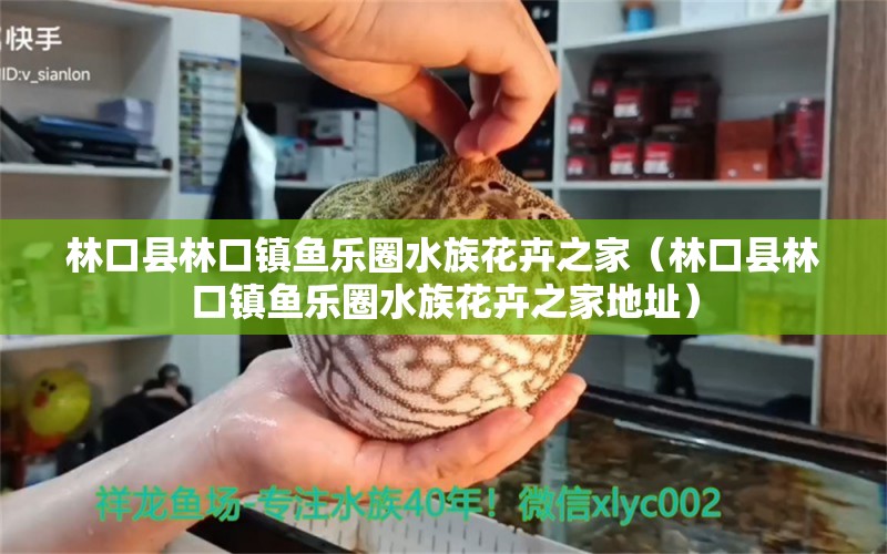 林口县林口镇鱼乐圈水族花卉之家（林口县林口镇鱼乐圈水族花卉之家地址）