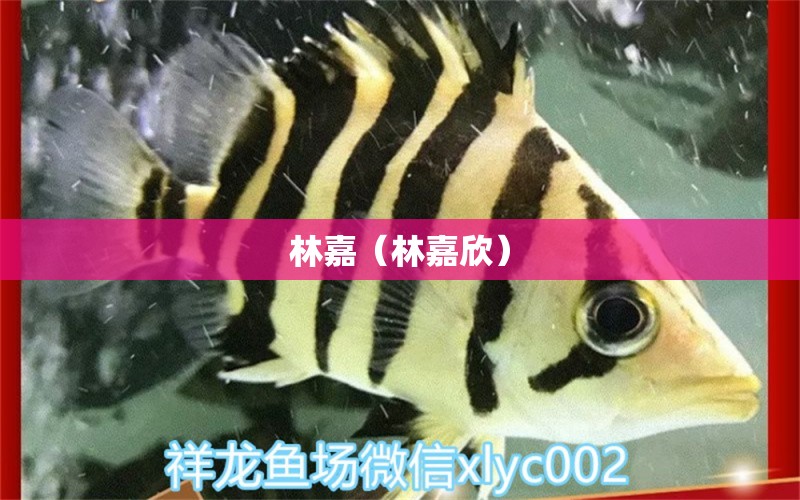 林嘉（林嘉欣） 全国水族馆企业名录