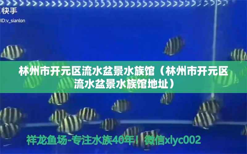 林州市开元区流水盆景水族馆（林州市开元区流水盆景水族馆地址） 全国水族馆企业名录