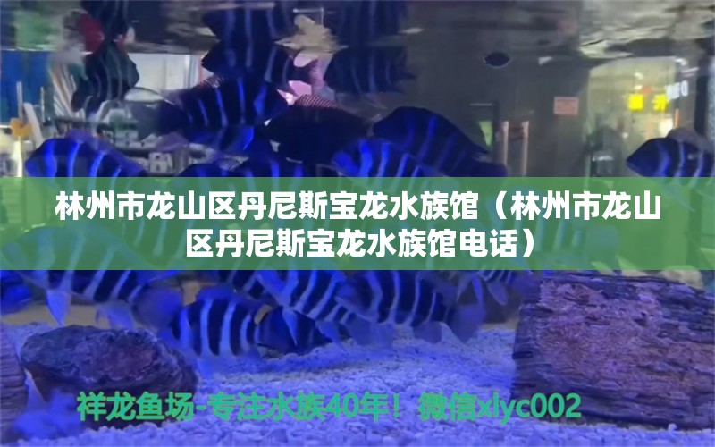 林州市龙山区丹尼斯宝龙水族馆（林州市龙山区丹尼斯宝龙水族馆电话）