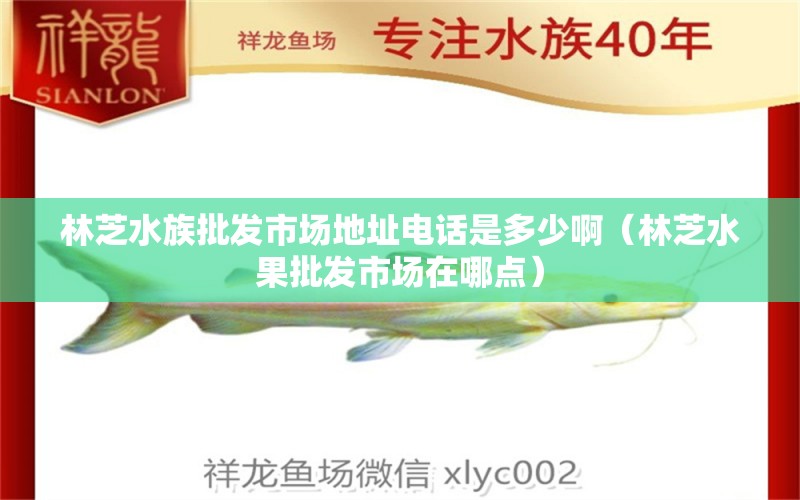 林芝水族批发市场地址电话是多少啊（林芝水果批发市场在哪点） 哥伦比亚巨暴鱼苗