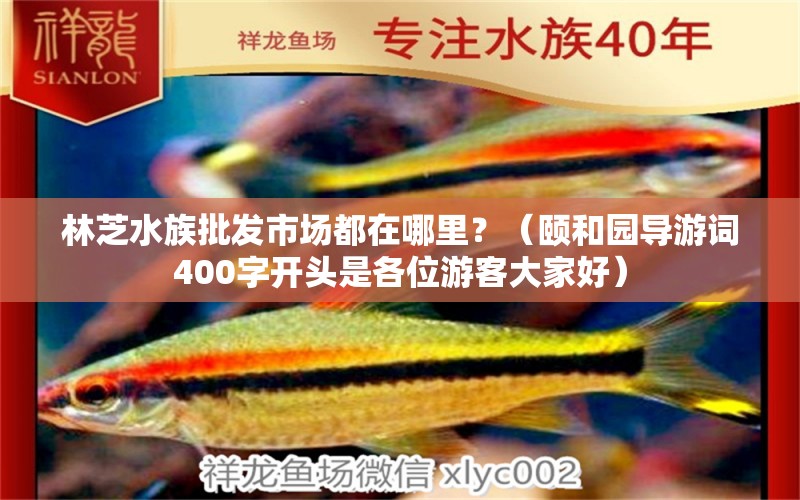 林芝水族批发市场都在哪里？（颐和园导游词400字开头是各位游客大家好） 观赏鱼水族批发市场 第2张