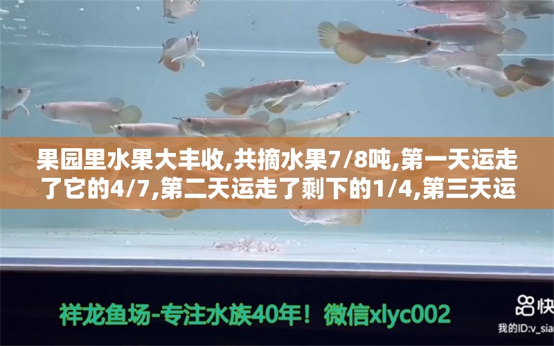 果园里水果大丰收,共摘水果7/8吨,第一天运走了它的4/7,第二天运走了剩下的1/4,第三天运走了7/32吨,还剩下多少吨水果，韩国小姐姐的女人味都很足，都是如何搭配的