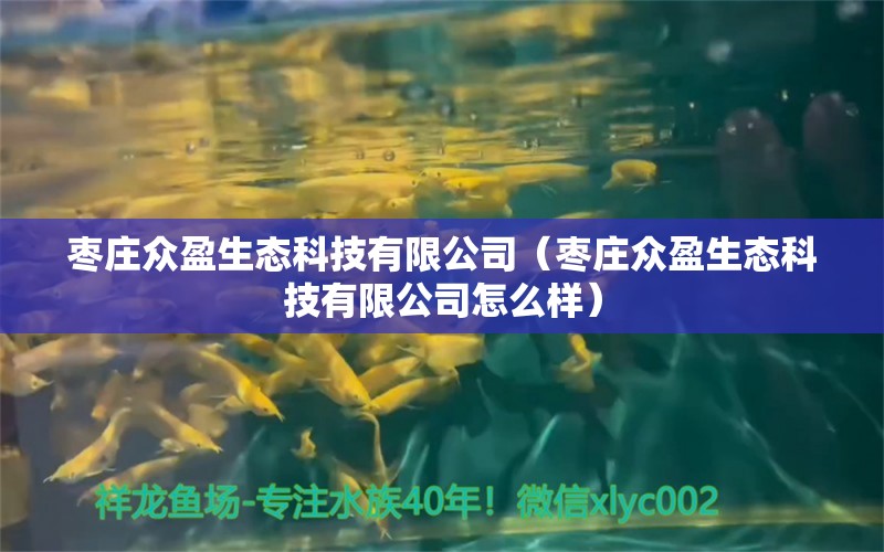 枣庄众盈生态科技有限公司（枣庄众盈生态科技有限公司怎么样）