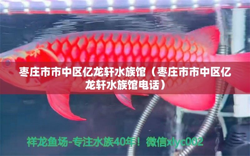 枣庄市市中区亿龙轩水族馆（枣庄市市中区亿龙轩水族馆电话）