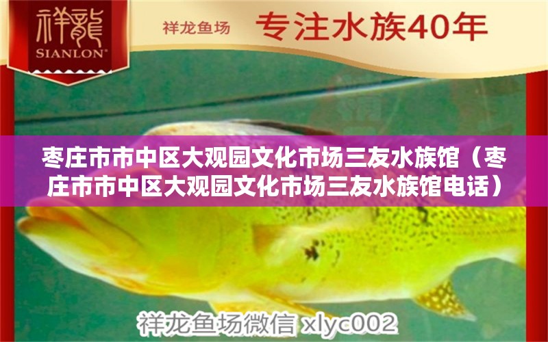 枣庄市市中区大观园文化市场三友水族馆（枣庄市市中区大观园文化市场三友水族馆电话）