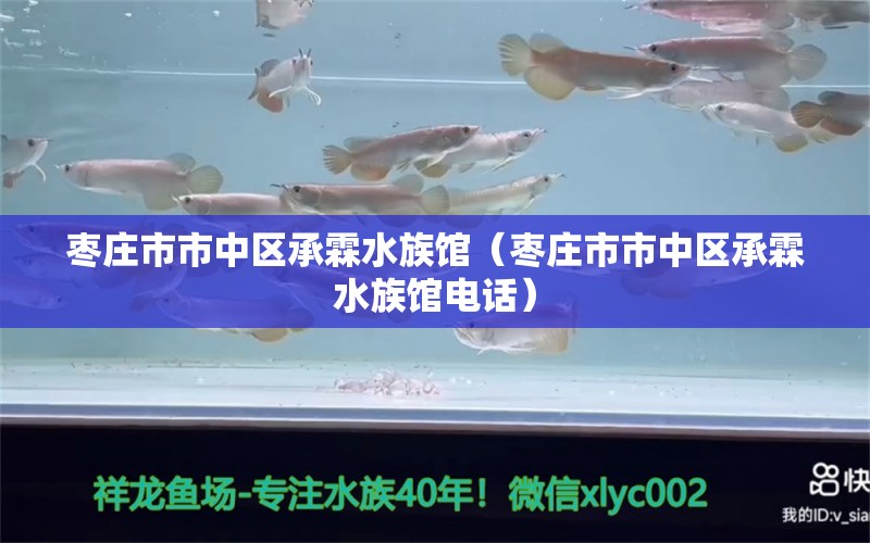 枣庄市市中区承霖水族馆（枣庄市市中区承霖水族馆电话）