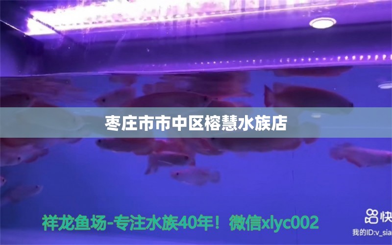 枣庄市市中区榕慧水族店