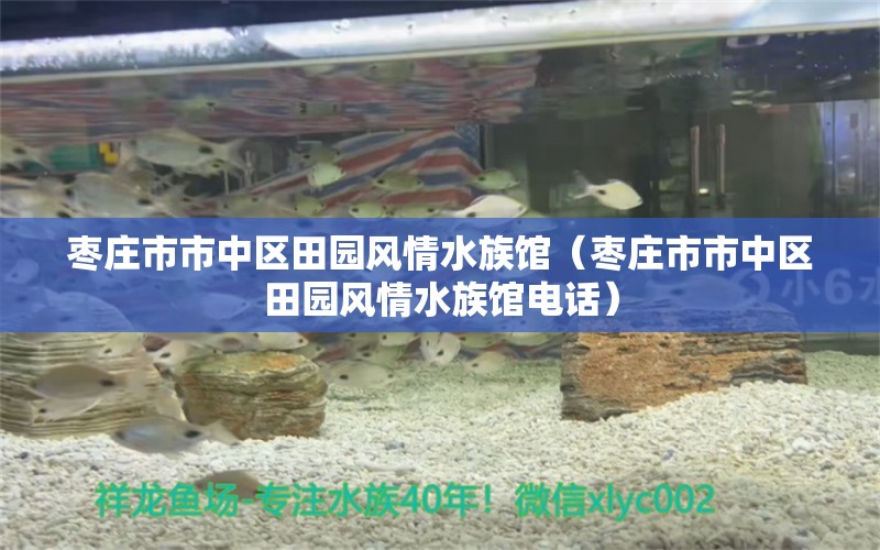 枣庄市市中区田园风情水族馆（枣庄市市中区田园风情水族馆电话）