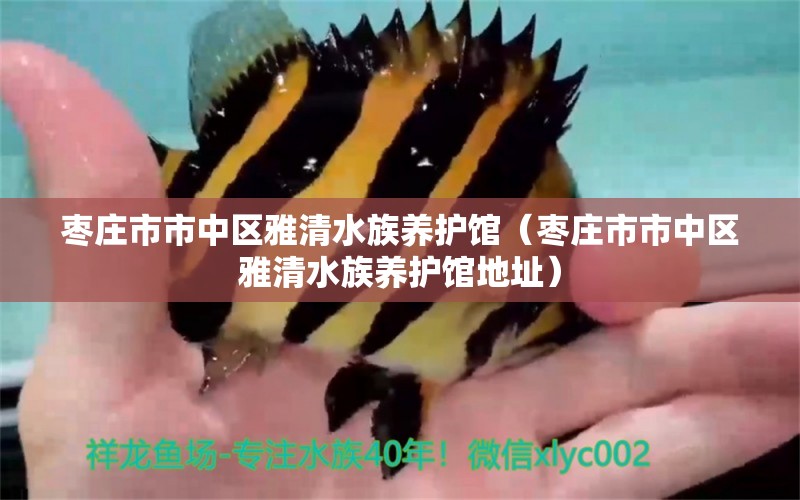 枣庄市市中区雅清水族养护馆（枣庄市市中区雅清水族养护馆地址） 全国水族馆企业名录