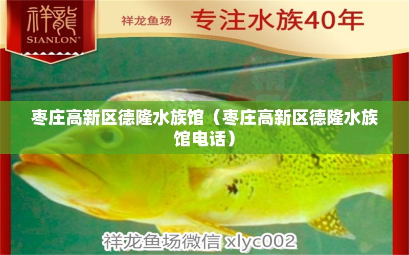 枣庄高新区德隆水族馆（枣庄高新区德隆水族馆电话）