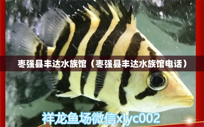 枣强县丰达水族馆（枣强县丰达水族馆电话） 全国水族馆企业名录