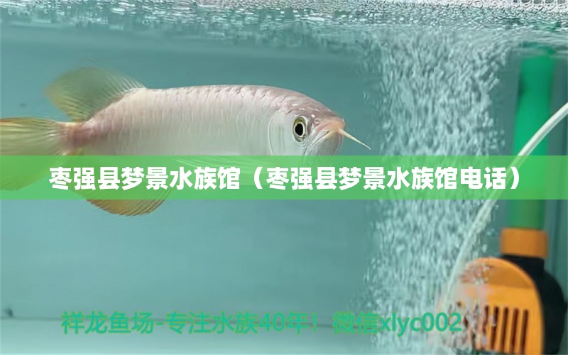 枣强县梦景水族馆（枣强县梦景水族馆电话）