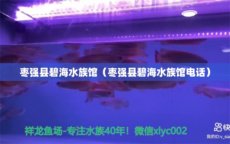 枣强县碧海水族馆（枣强县碧海水族馆电话）