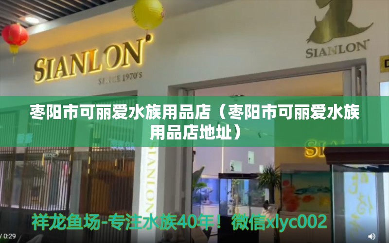 枣阳市可丽爱水族用品店（枣阳市可丽爱水族用品店地址） 水族用品