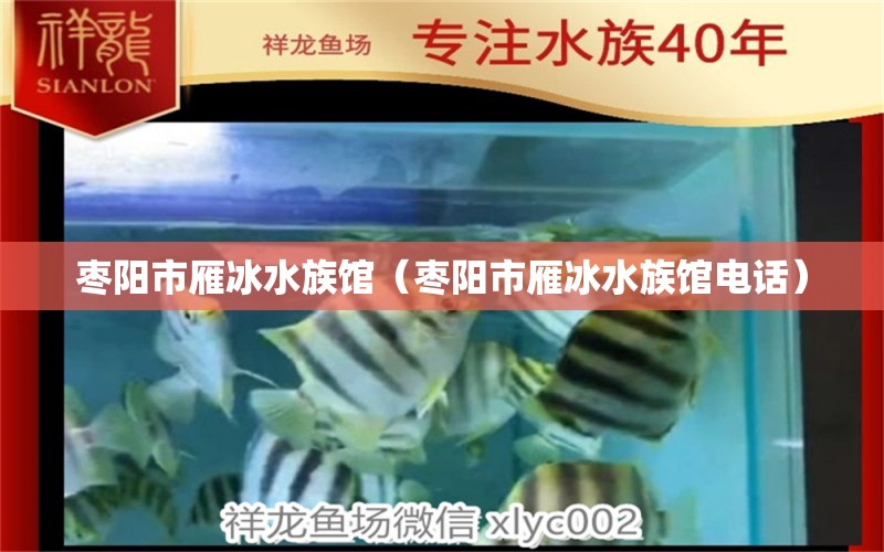 枣阳市雁冰水族馆（枣阳市雁冰水族馆电话）