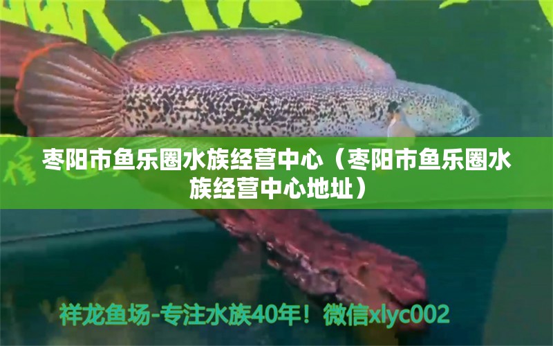 枣阳市鱼乐圈水族经营中心（枣阳市鱼乐圈水族经营中心地址）